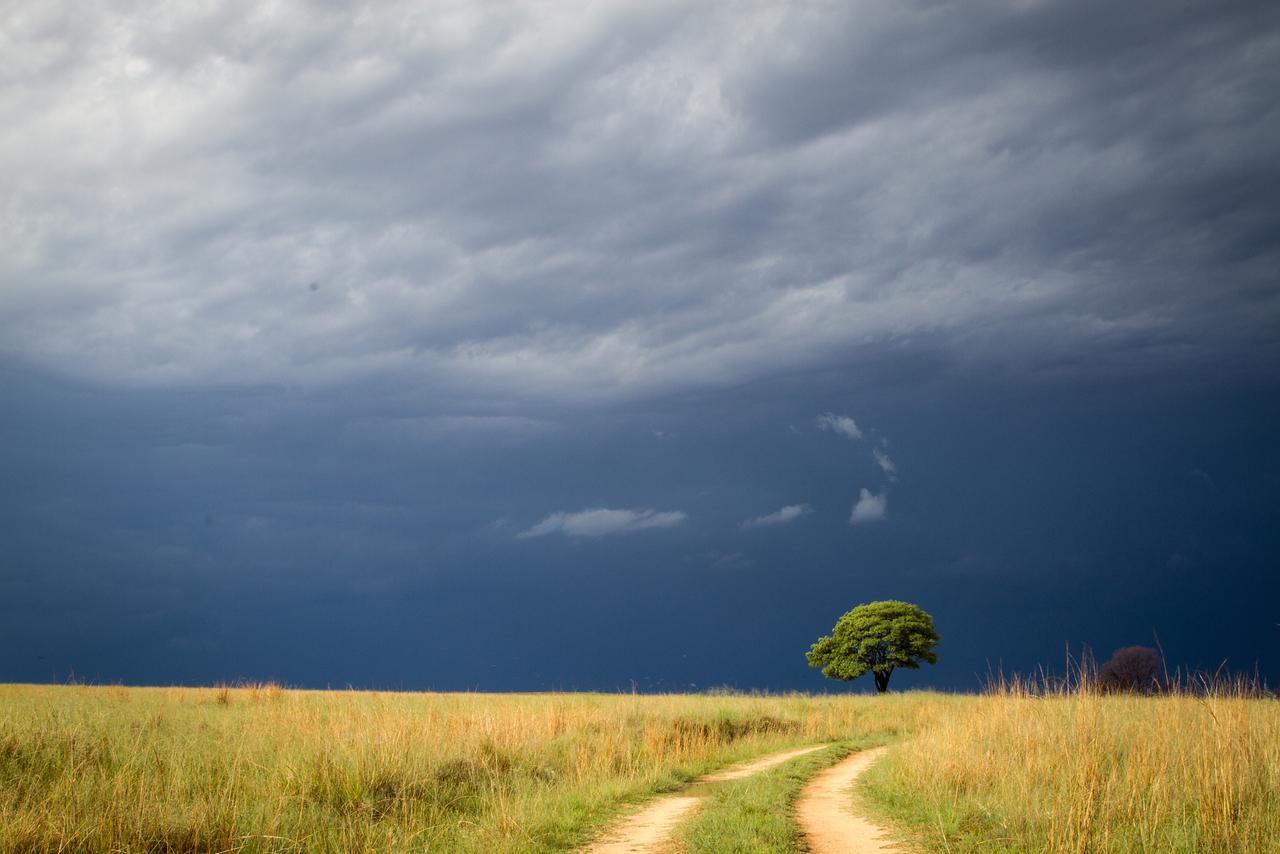Отель Ezemvelo Nature Reserve Vaalplaas Экстерьер фото