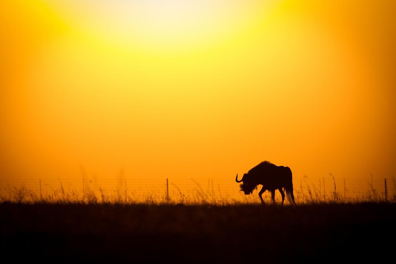 Отель Ezemvelo Nature Reserve Vaalplaas Экстерьер фото